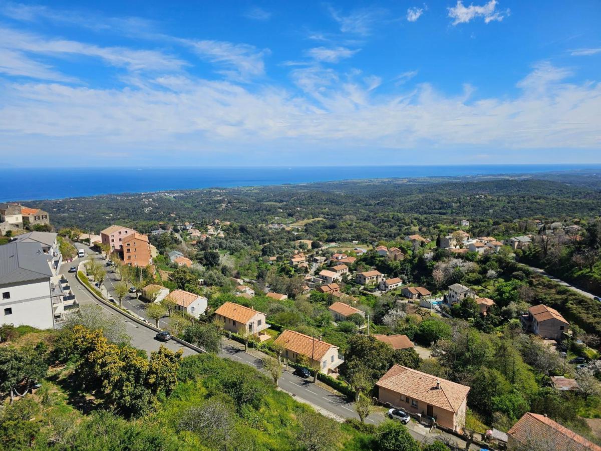 Palazzu Massoni, Magnifique Vue Sur La Mer Et La Montagne, Clim, Wifi, Parking Gratuit Cervione Exterior foto